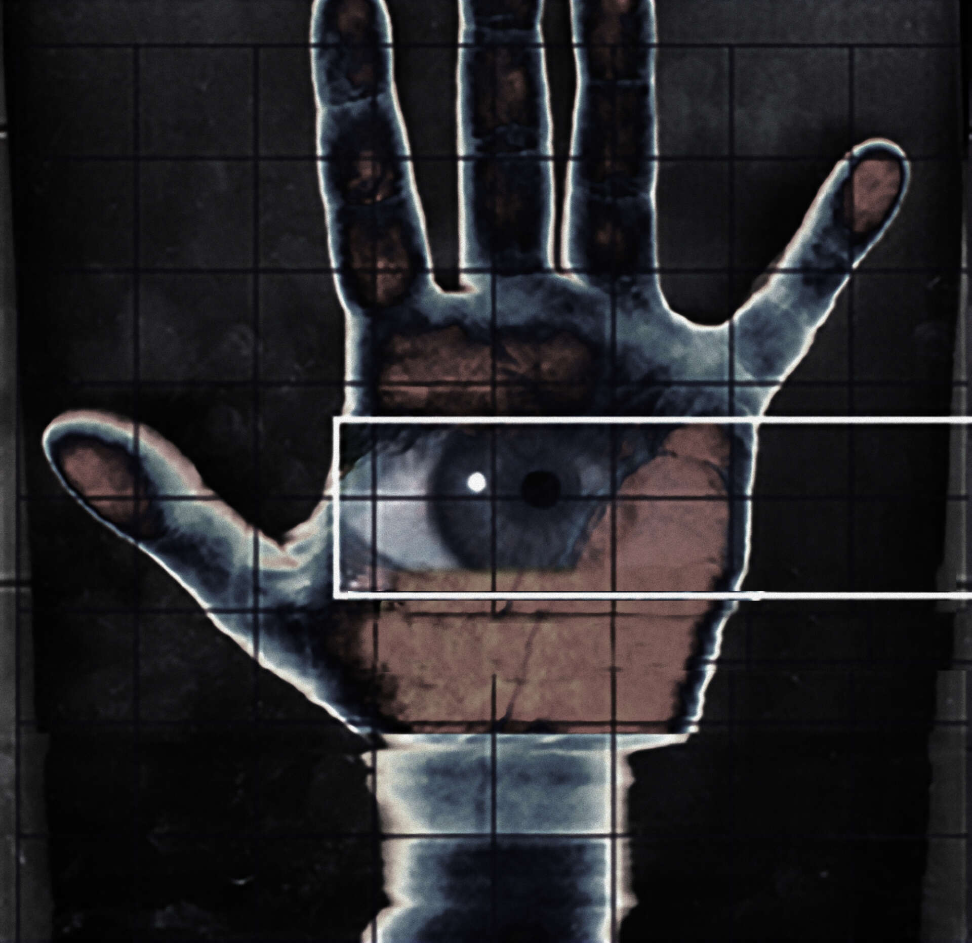 Mfru 1999 placeholder