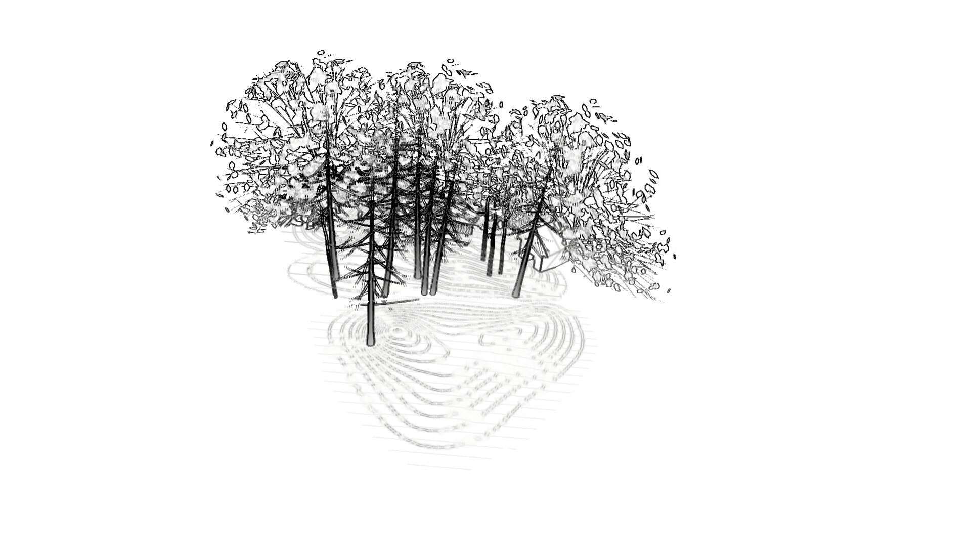 Mfru 2022 anthropomorphisation of the topography of the world valerie wolfgang 00005