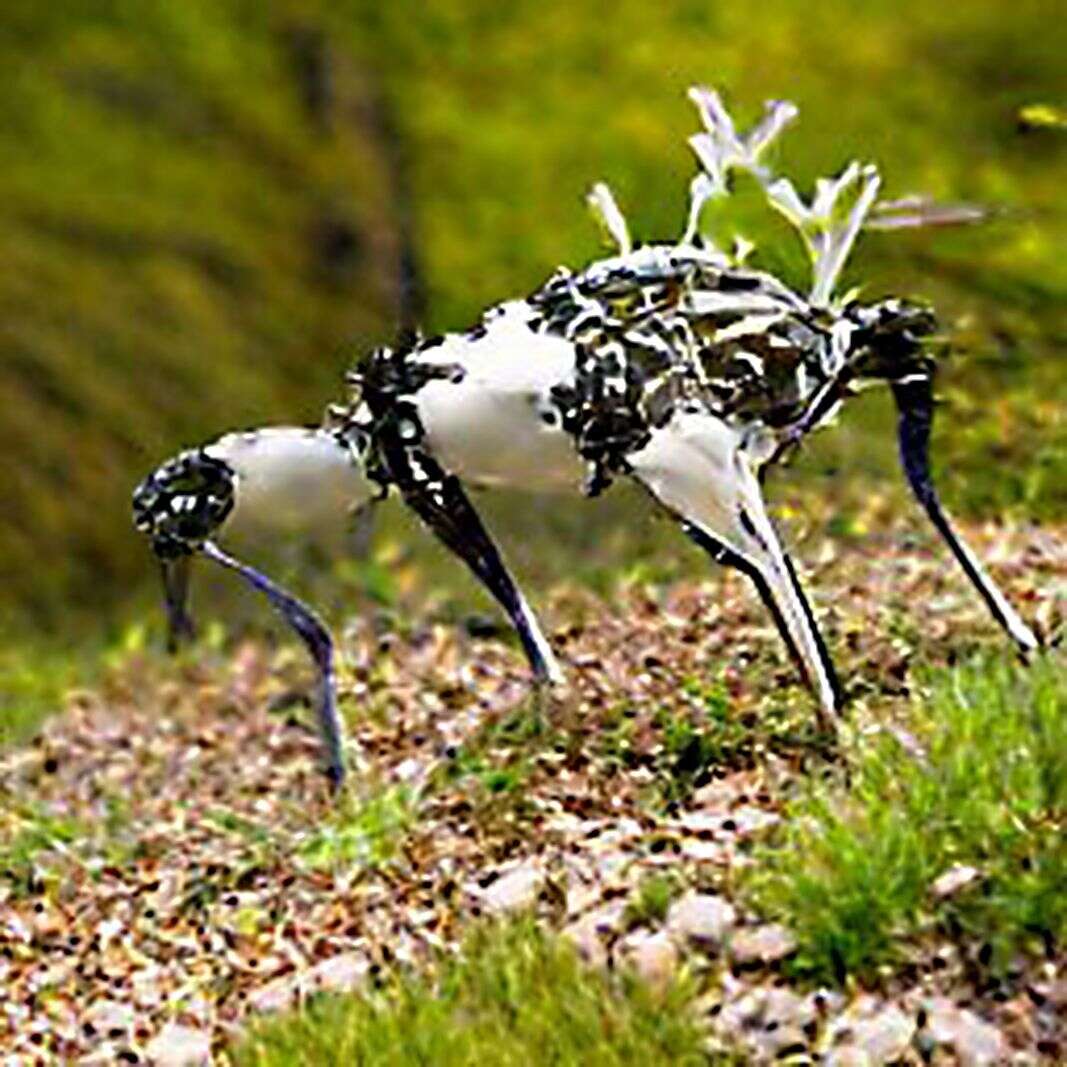 Mfru 2022 Grow bot Monika pocrnjic 00005