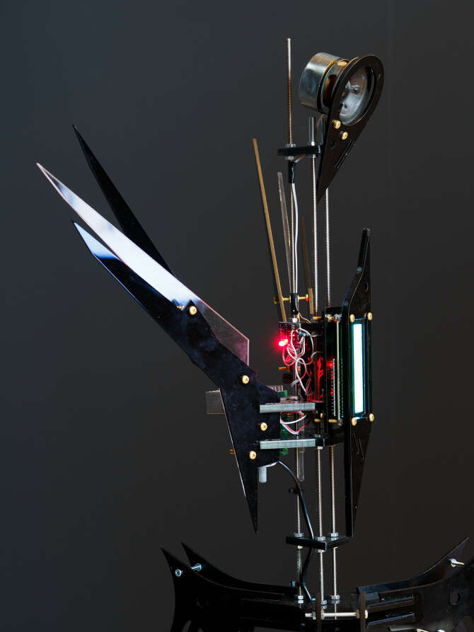 D Morozov 3