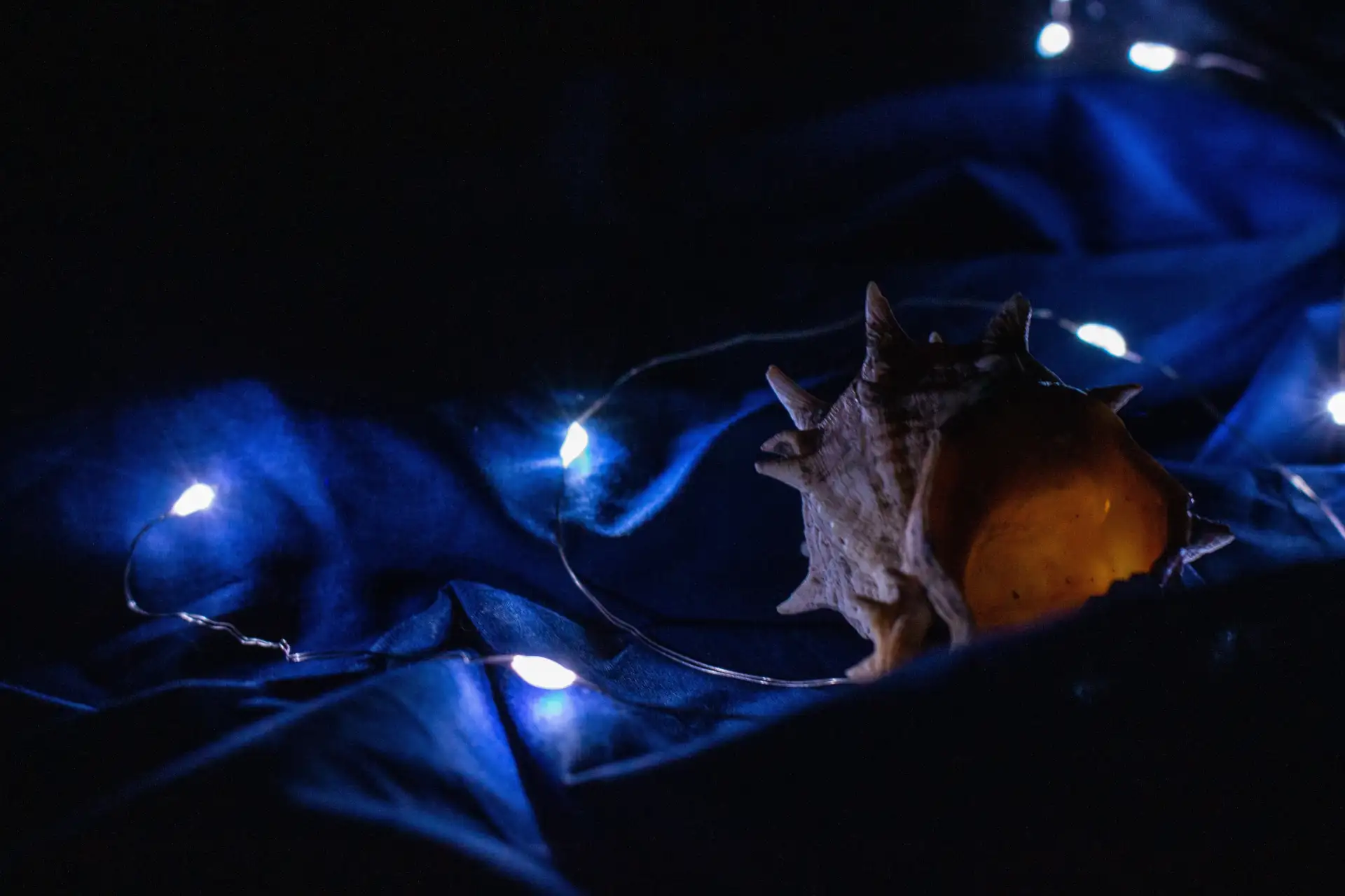 Image from MFRU archive for animation purposes