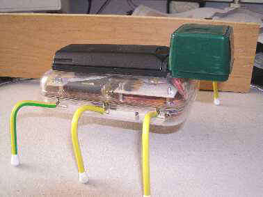 Cricek1