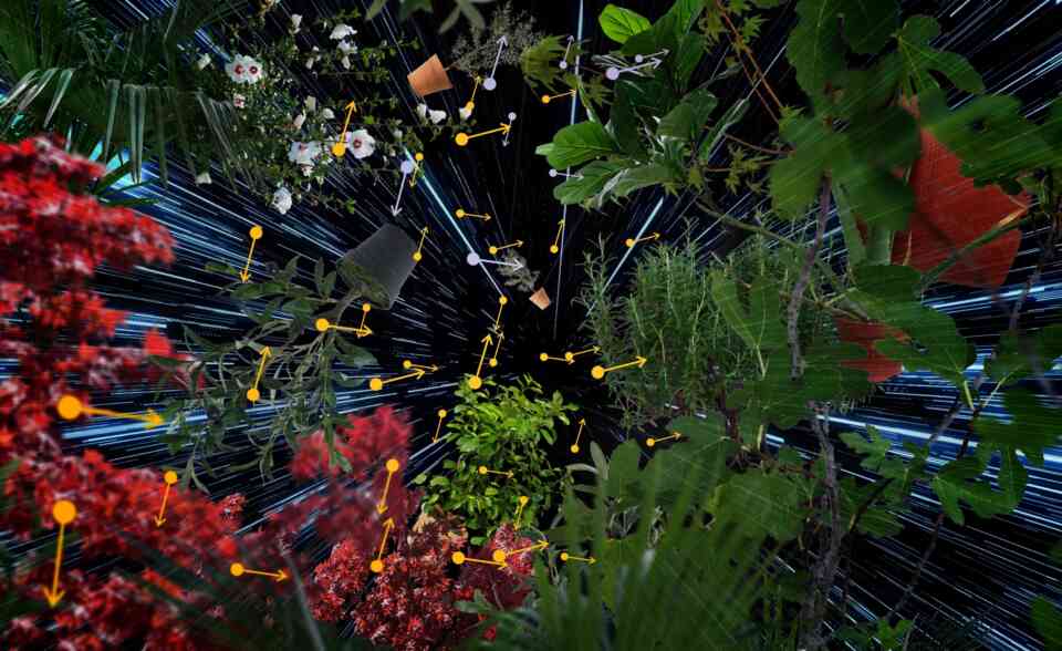 PLANTPORTATIUM Brida 2