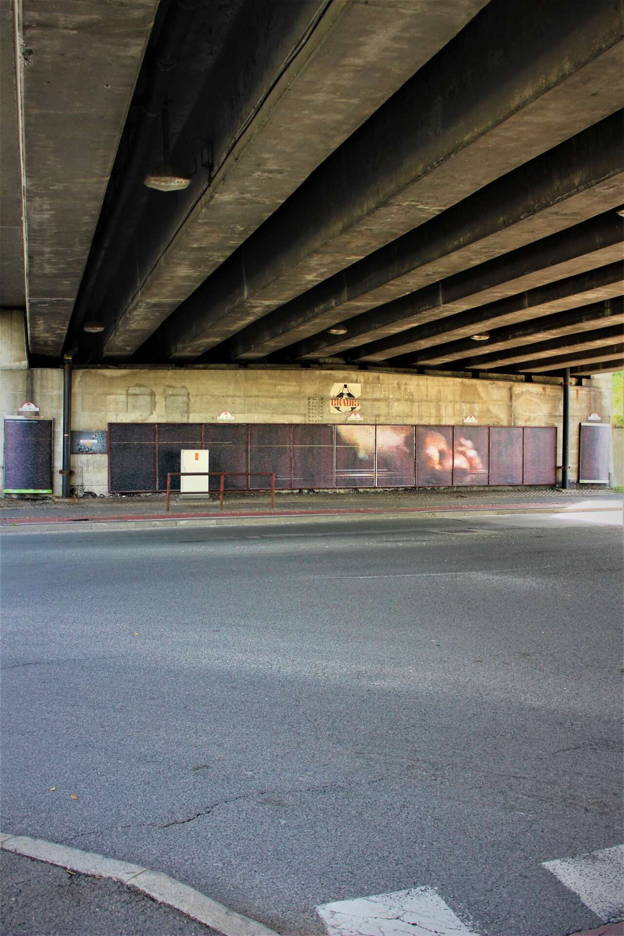 IMG 7503