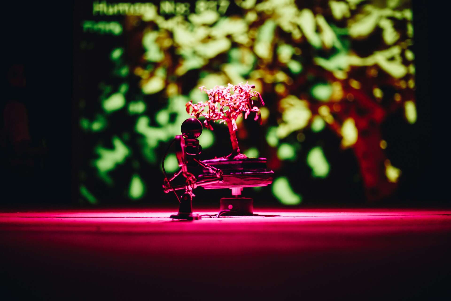 Mfru 2022 self sustainable system of absurdity stevan kojic 01