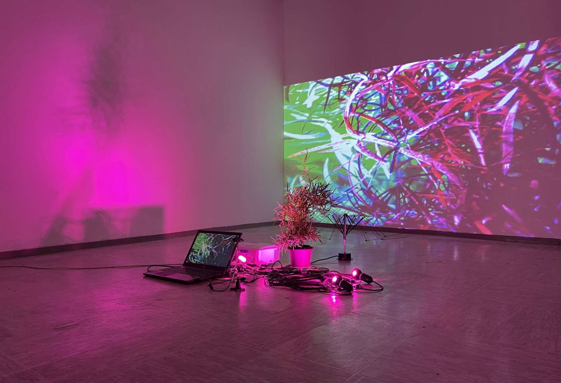 Mfru 2022 self sustainable system of absurdity stevan kojic 03