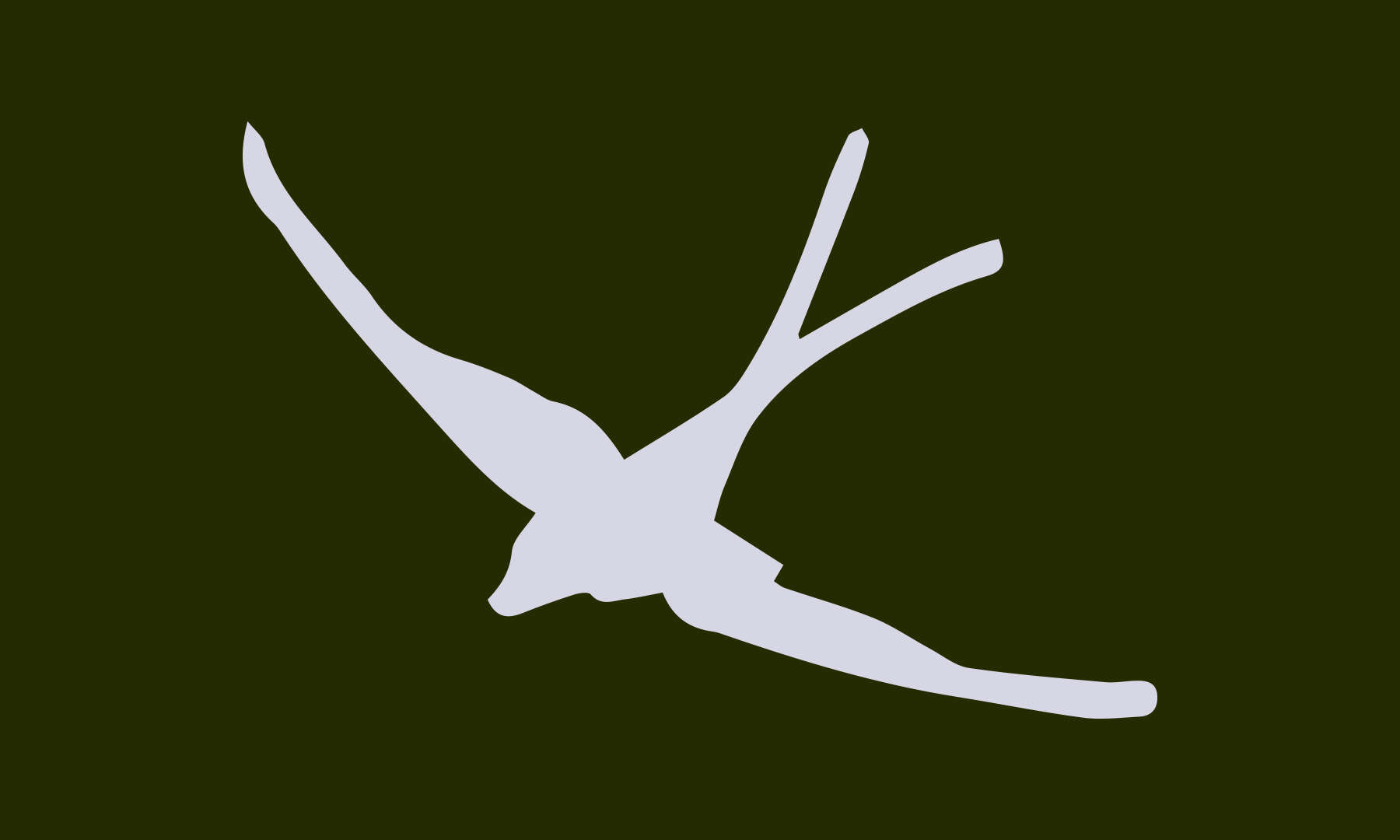 06