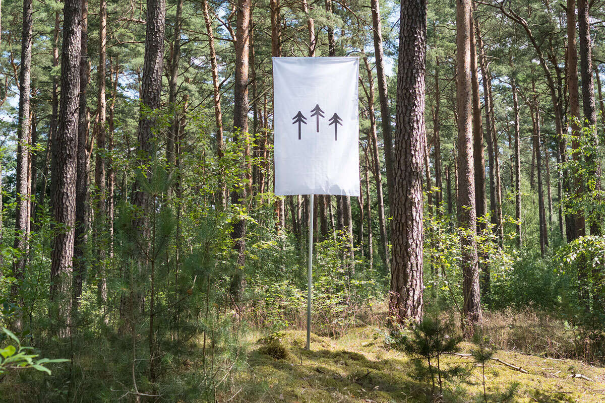 Kolling Seidler Hampshire terra0